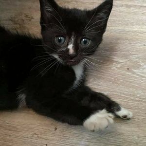 Meet your Posher, Lauralynn